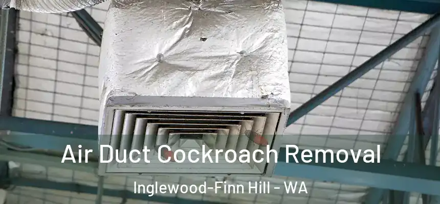 Air Duct Cockroach Removal Inglewood-Finn Hill - WA