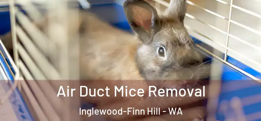 Air Duct Mice Removal Inglewood-Finn Hill - WA