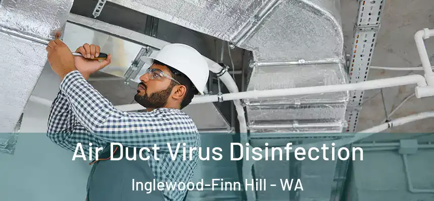 Air Duct Virus Disinfection Inglewood-Finn Hill - WA