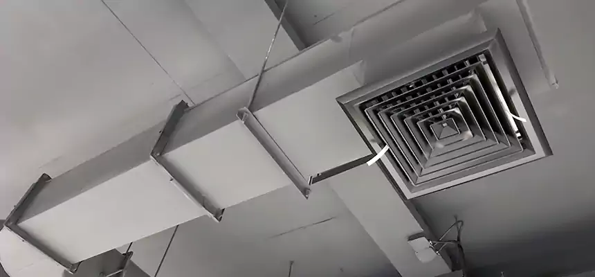 Our Pest Removal From Ducts Services in Inglewood-Finn Hill, WA