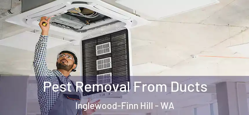  Pest Removal From Ducts Inglewood-Finn Hill - WA