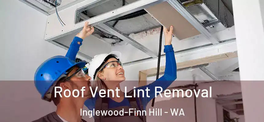 Roof Vent Lint Removal Inglewood-Finn Hill - WA