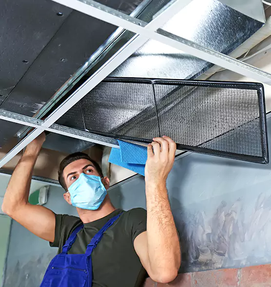 About Air Duct Bacteria Removal in Inglewood-Finn Hill