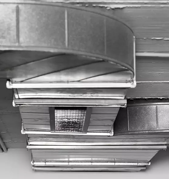 Professional Air Duct Pet Hair Removal in Inglewood-Finn Hill, WA