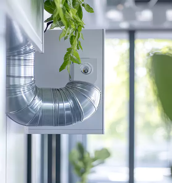 Professional Eco-Safe Dryer Vent Cleaning in Inglewood-Finn Hill, WA