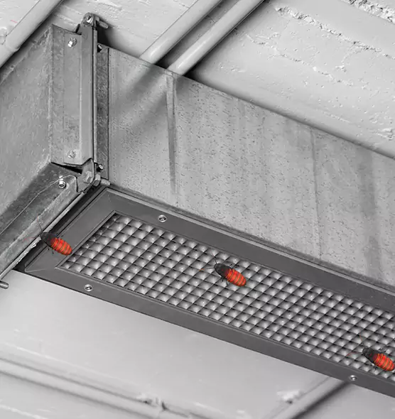 Affordable Insect Removal from Air Ducts in Inglewood-Finn Hill, WA