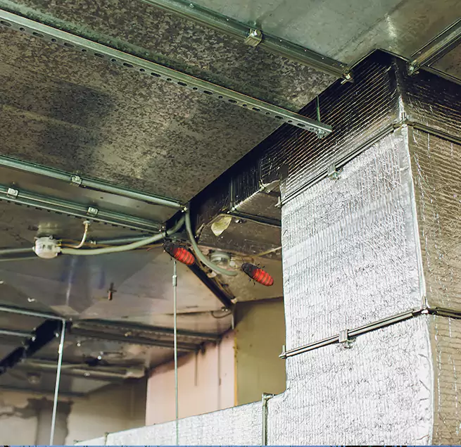 Why Homeowners & Businesses Trust Us in Inglewood-Finn Hill, WA?