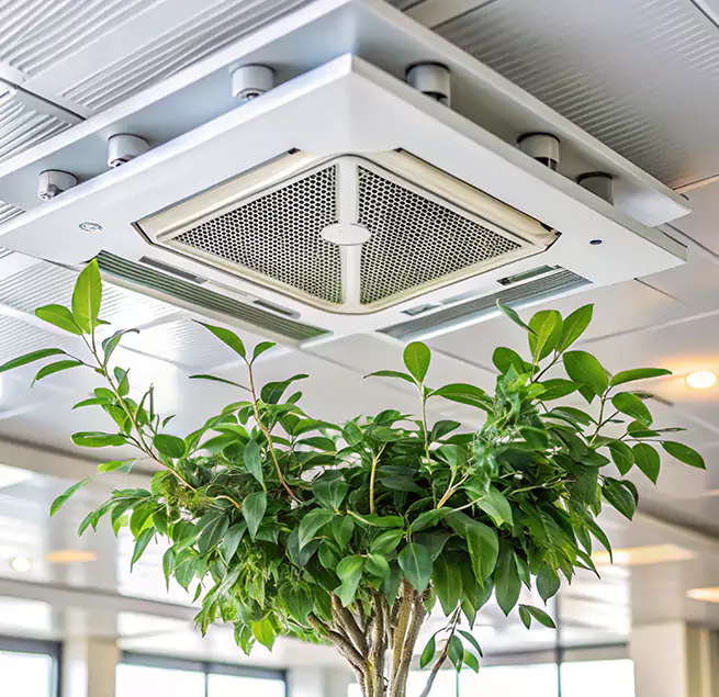 Why Homeowners & Businesses Trust Us in Inglewood-Finn Hill, WA?